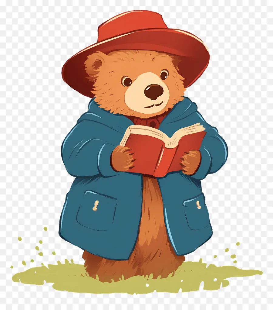 Paddington，Oso Con Libro PNG