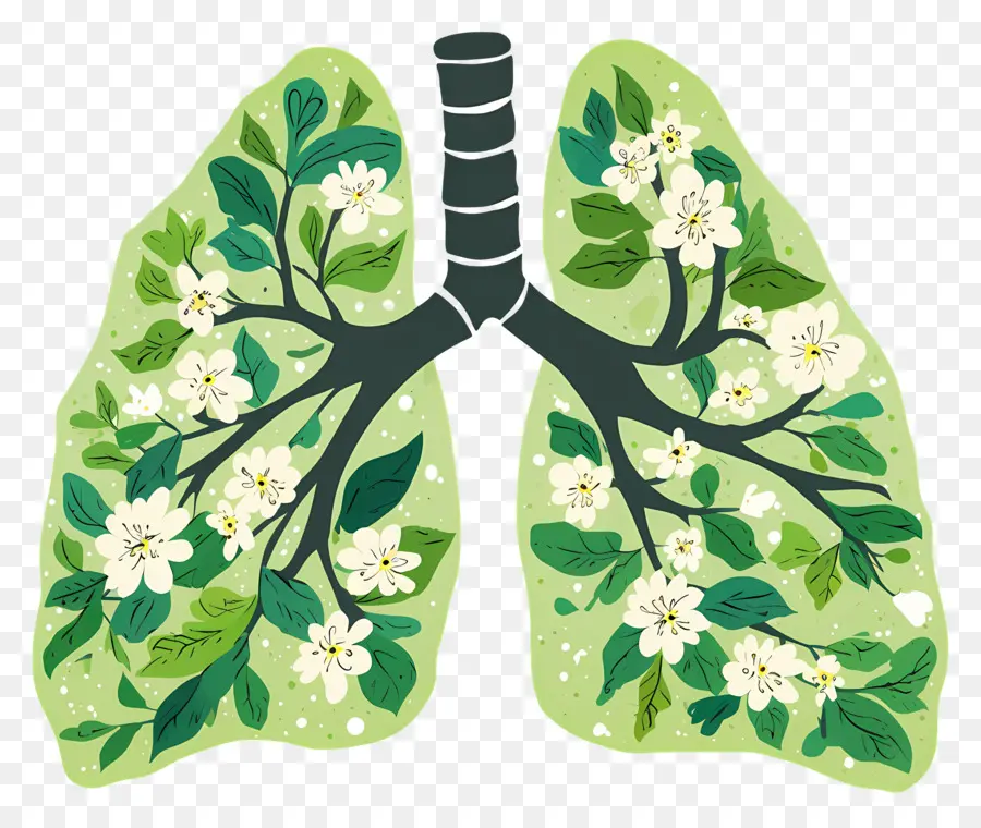 Pulmones Verdes，Pulmones Con Flores PNG