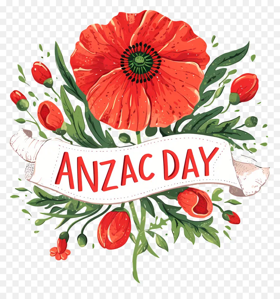 Día De Anzac，Amapolas Del Día De Anzac PNG