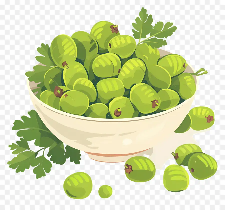 Grosella，Bayas Verdes PNG