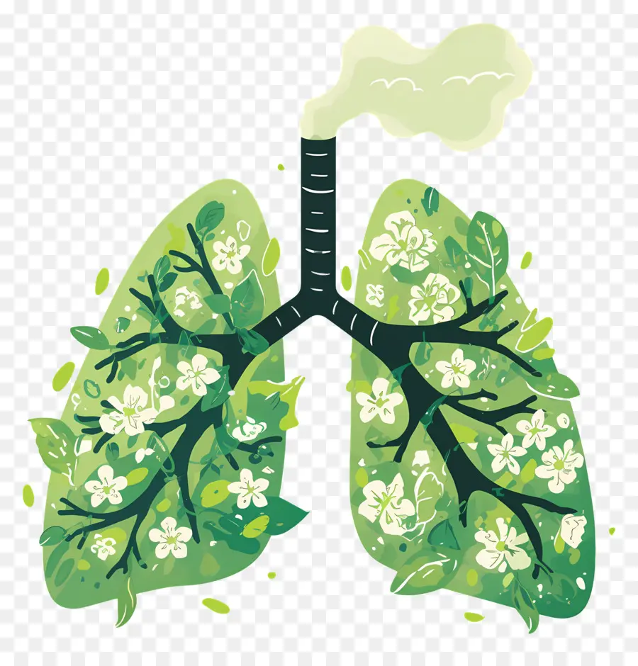 Pulmones Verdes，Pulmones Con Flores PNG