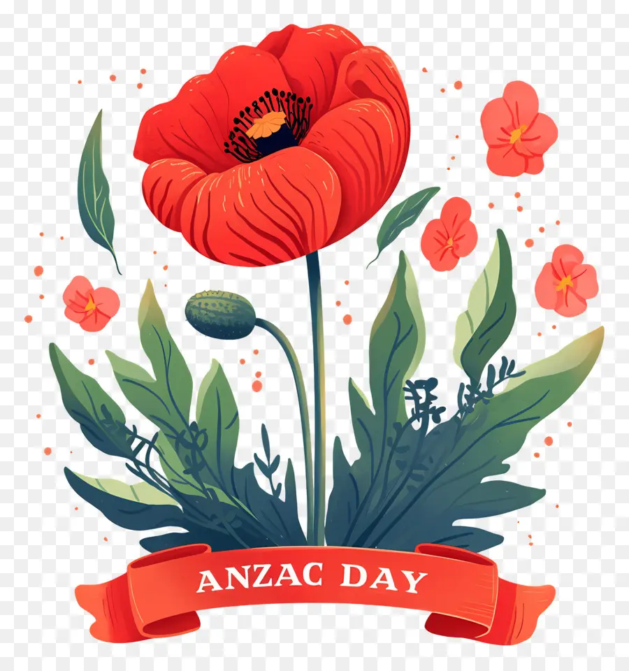 Día De Anzac，Amapolas Del Día De Anzac PNG