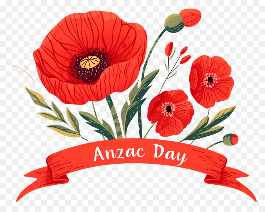 Día De Anzac，Amapolas Del Día De Anzac PNG