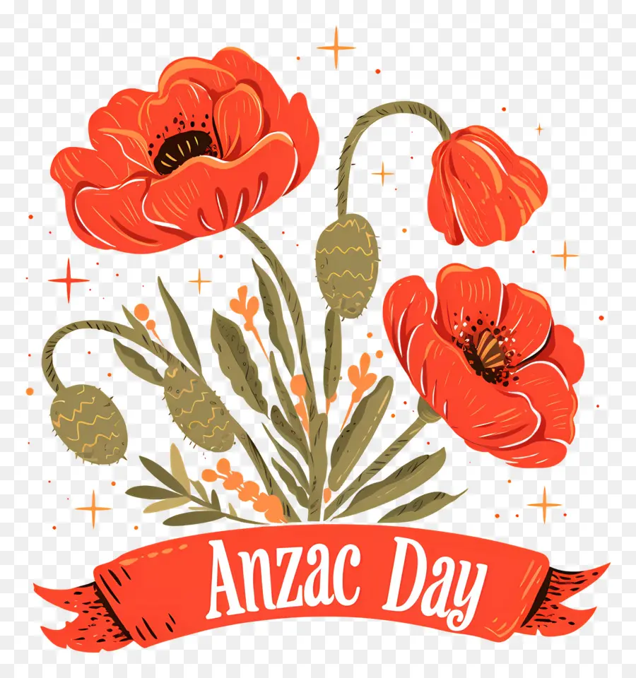 Día De Anzac，Amapolas Rojas PNG