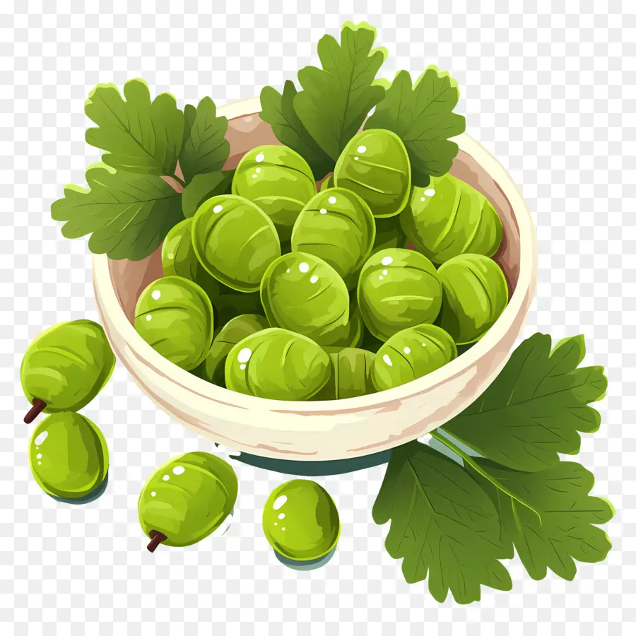 Grosella，Bayas Verdes PNG