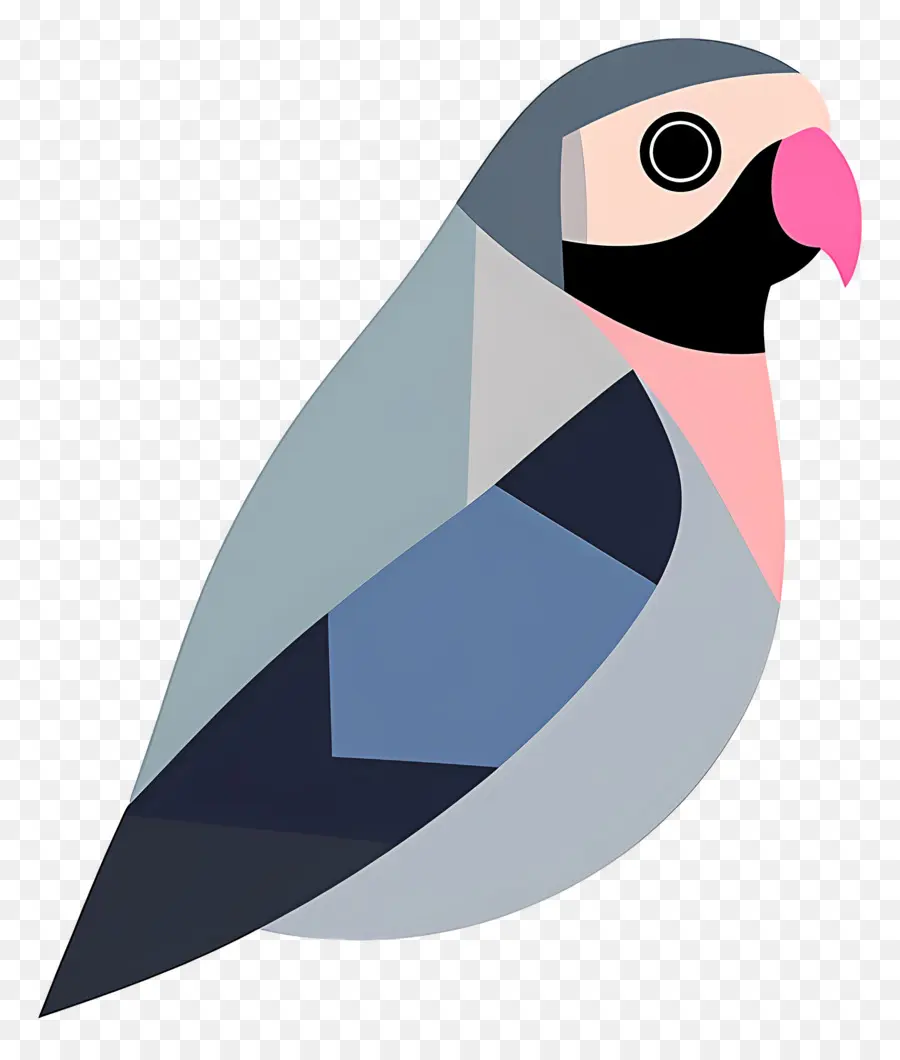 Loro，Loro Colorido PNG