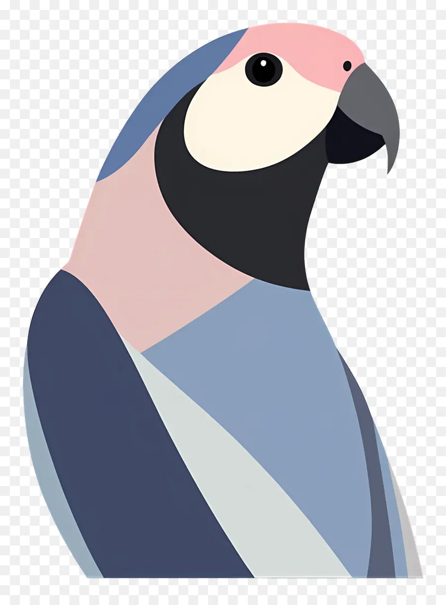 Loro，Ilustración Colorida Del Loro PNG