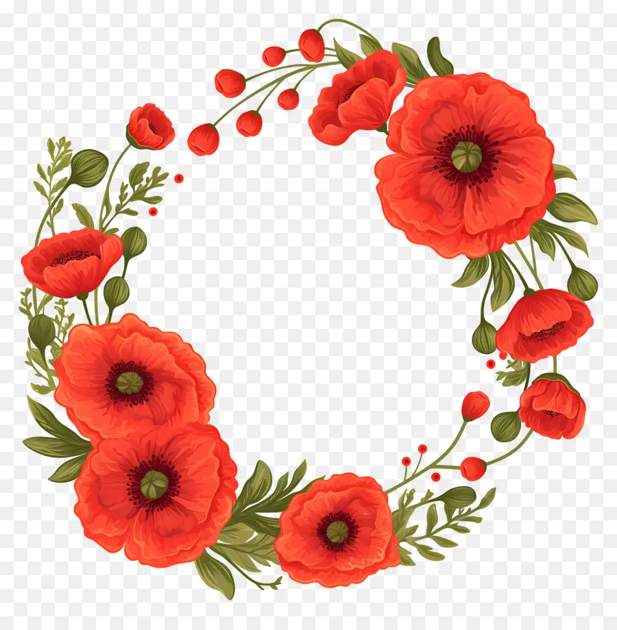 Día De Anzac，Corona De Amapola Roja PNG