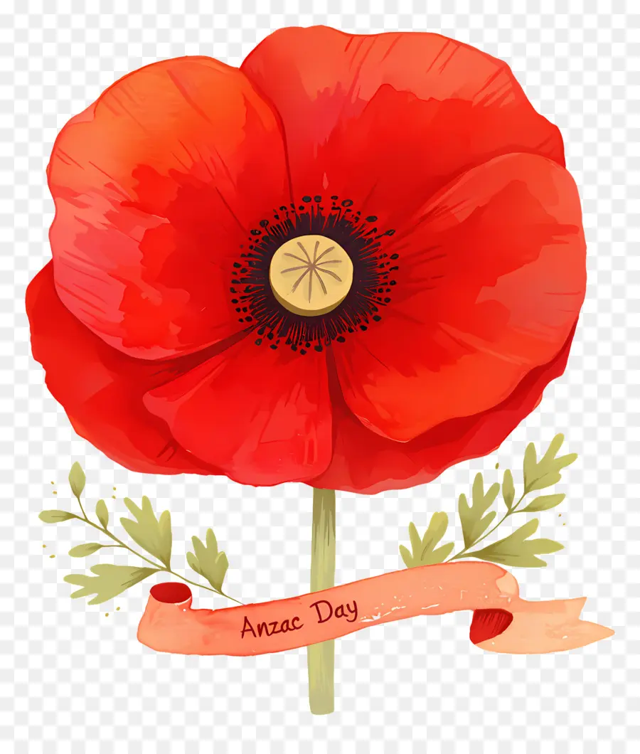 Día De Anzac，Amapola Anzac PNG