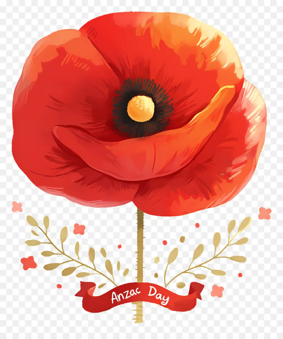 Día De Anzac，Amapola Anzac PNG