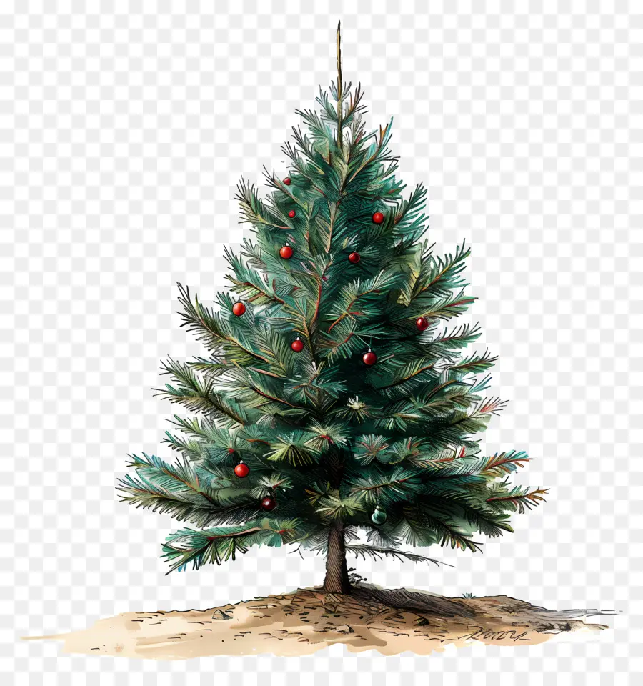 Árbol De Navidad De Acuarela，Árbol De Navidad PNG