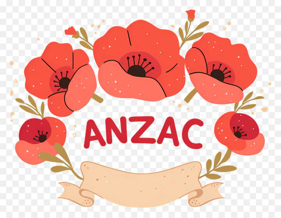 Día De Anzac，Amapolas Rojas PNG