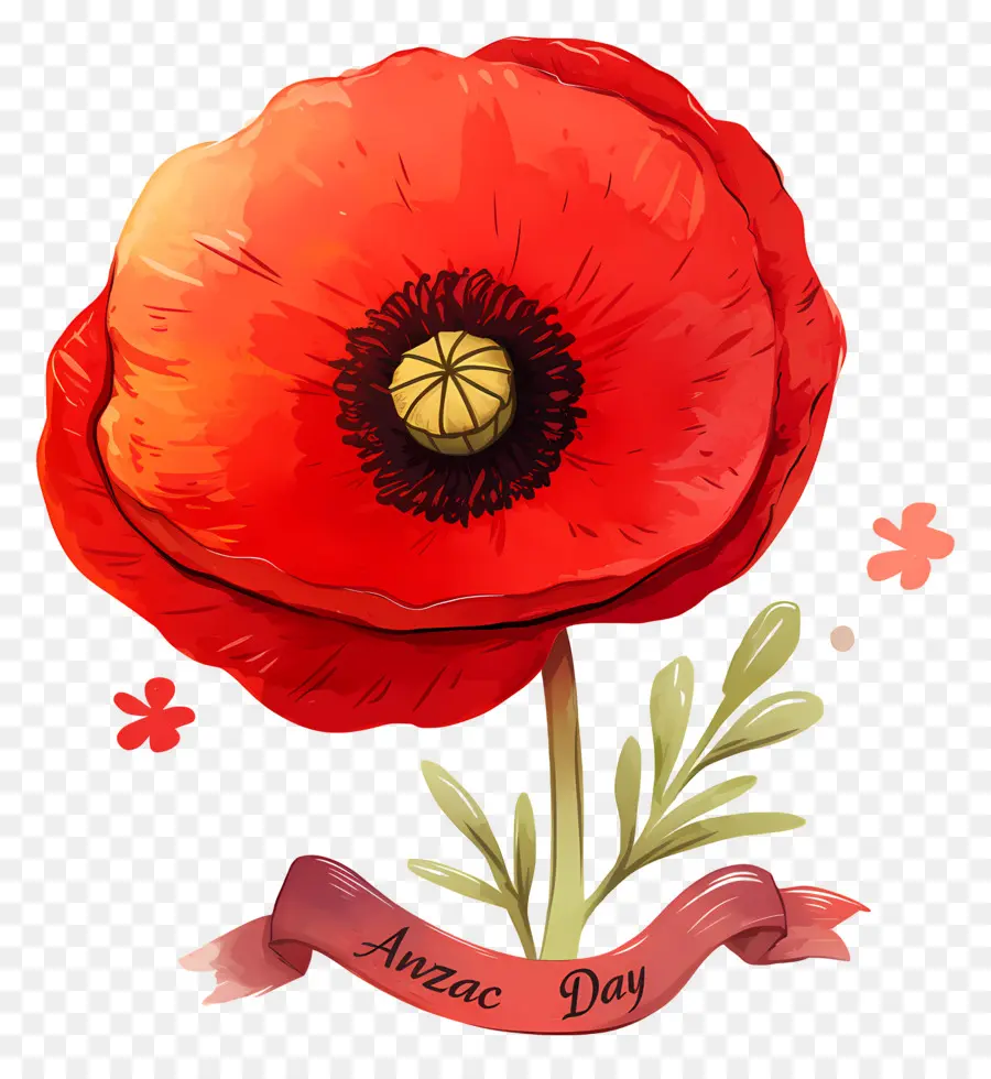 Día De Anzac，Amapola Roja PNG