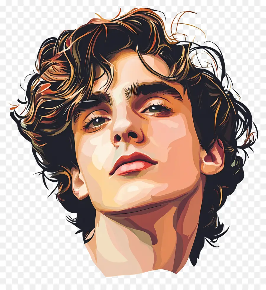 Timothée Chalamet，Retrato Colorido PNG