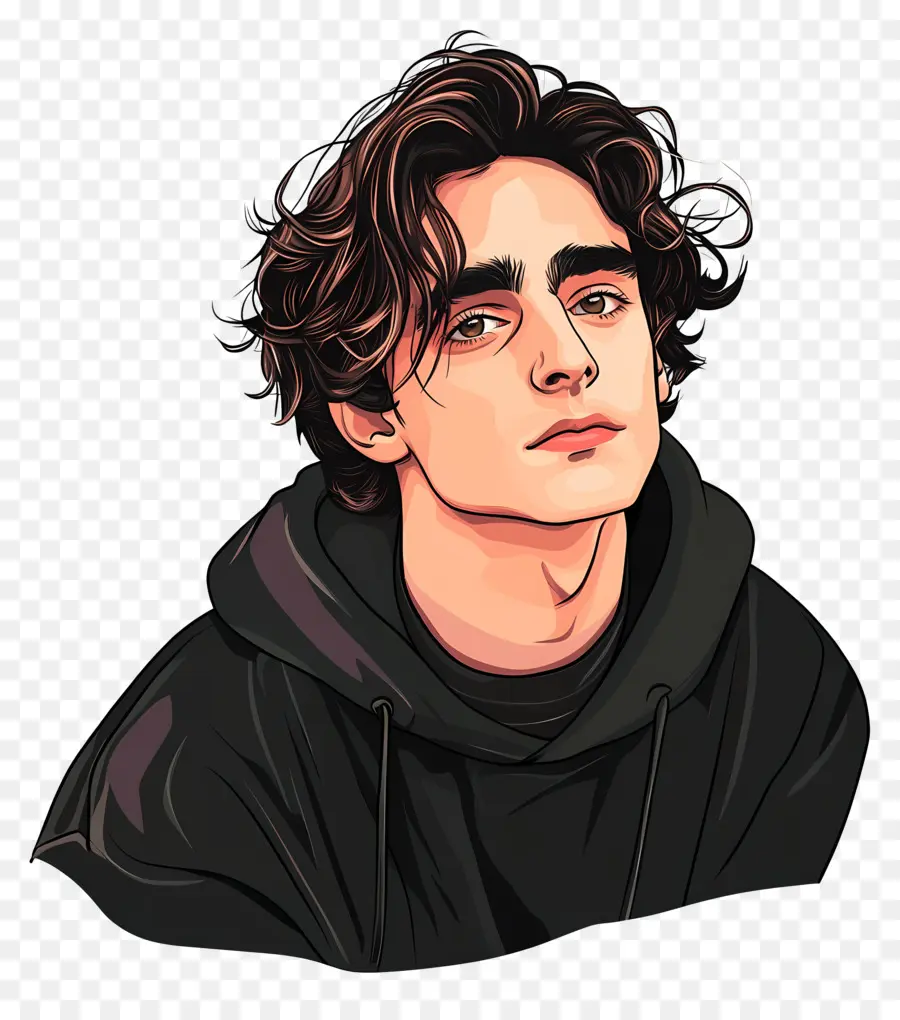 Timothée Chalamet，Retrato Colorido PNG