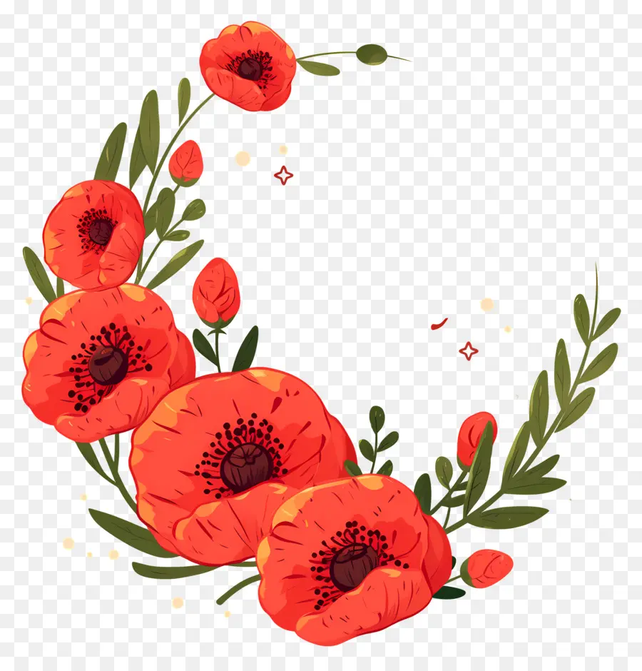 Día De Anzac，Flores Rojas PNG