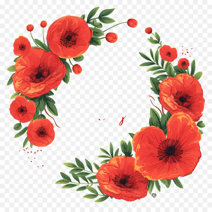 Día De Anzac，Flores Rojas PNG