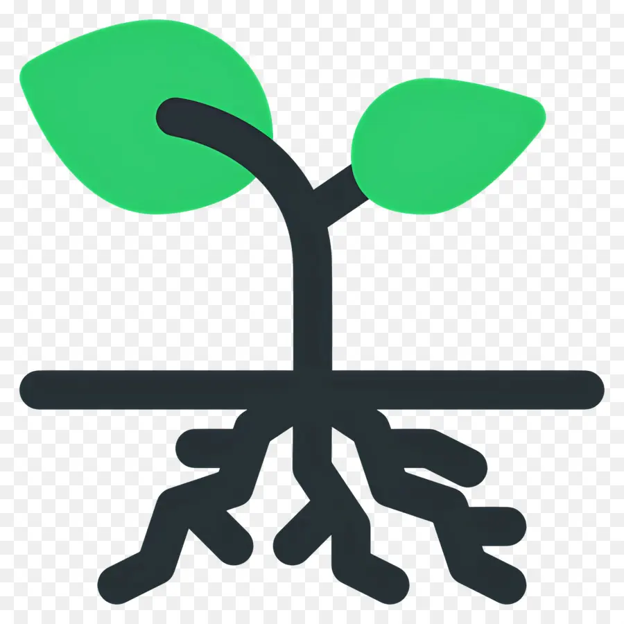 Raíces，Planta Con Raíces PNG