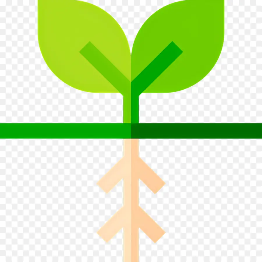 Raíces，Planta De Semillero PNG