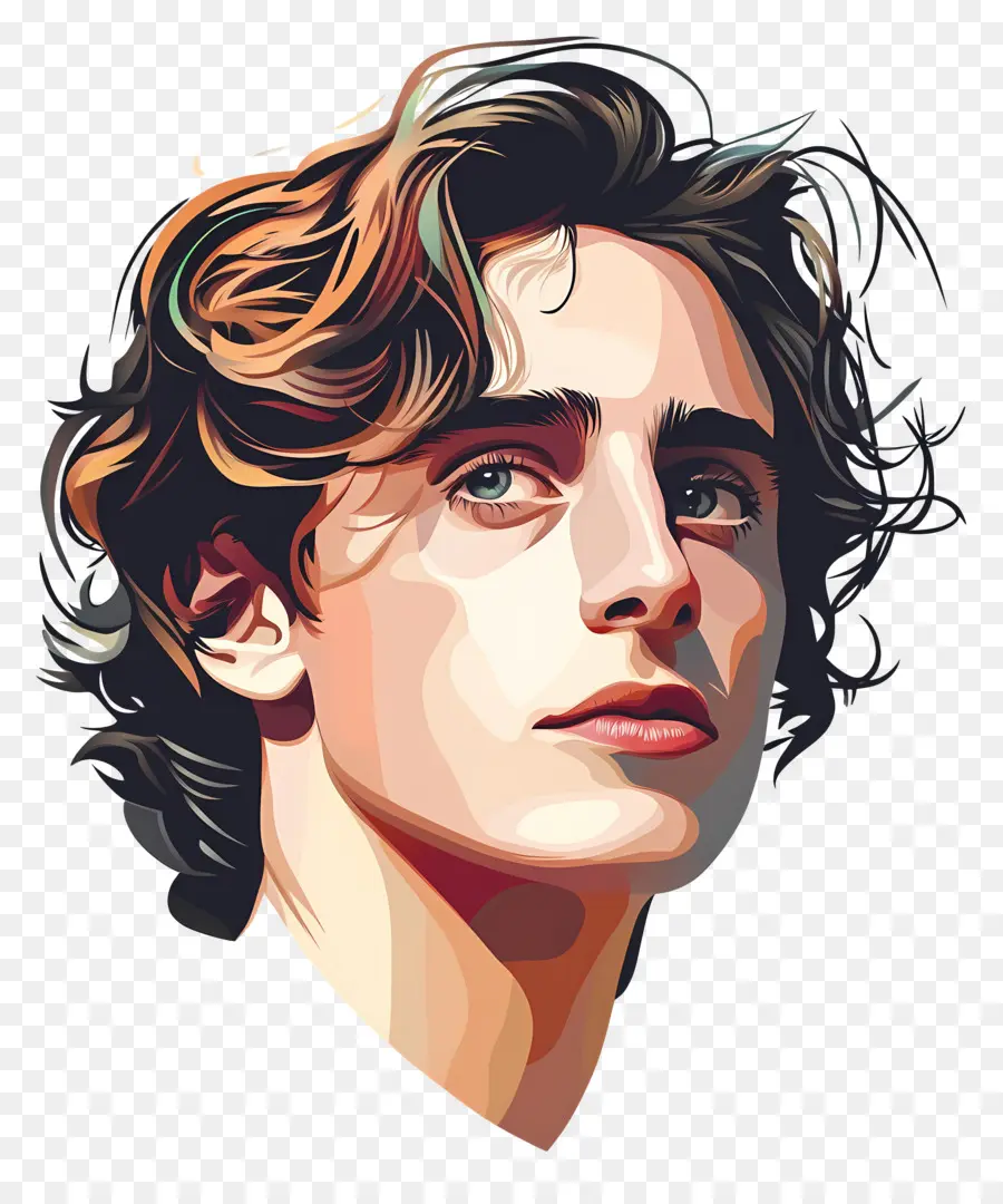 Timothée Chalamet，Retrato Colorido PNG