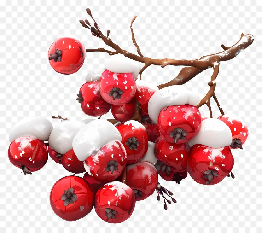 Baya De Invierno，Frutos Rojos PNG