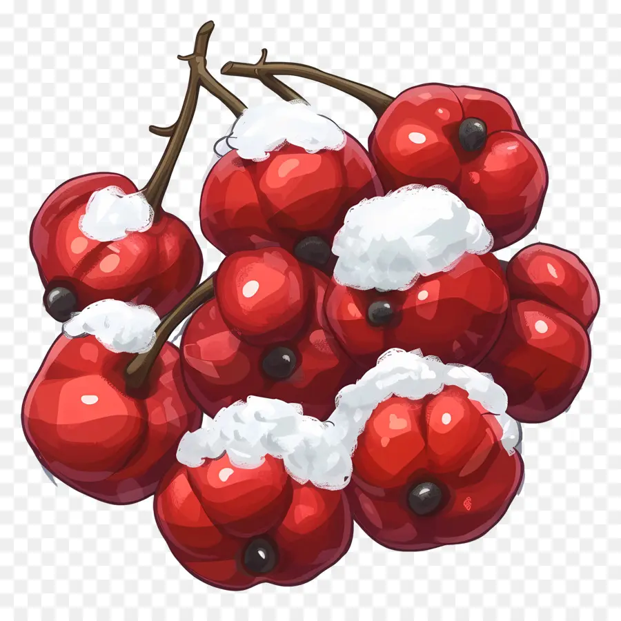 Baya De Invierno，Frutos Rojos PNG