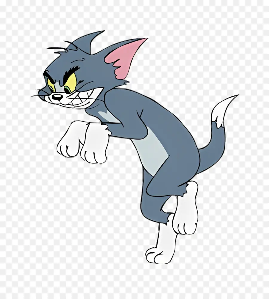 Gato Tom，Tomás PNG